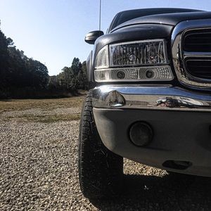 Meet your Posher, Dylan